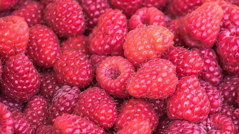 Tropical Fruits